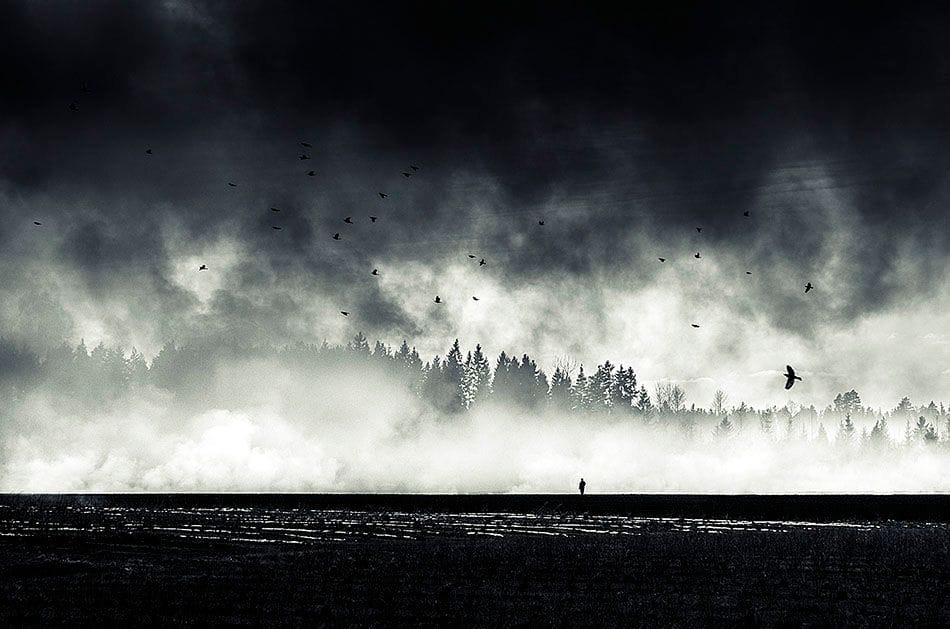 Artwork Title: Still Standing