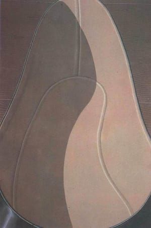 Artwork Title: Inside a lady's shoe