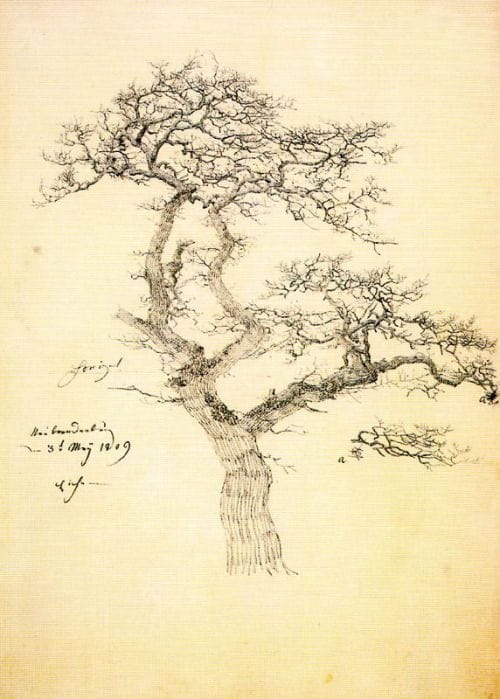 Artwork Title: Bare Oak Tree