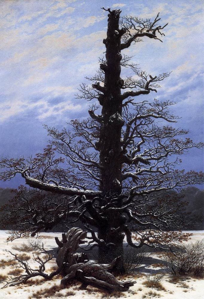 Artwork Title: The Oaktree In The Snow