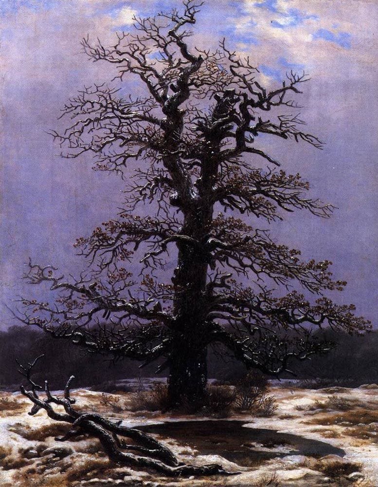 Artwork Title: Oak In The Snow