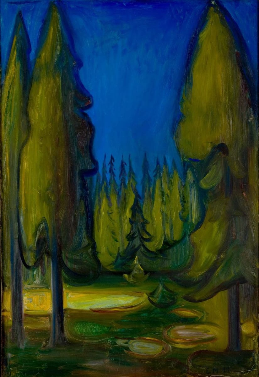 Artwork Title: Dark Spruce Forest
