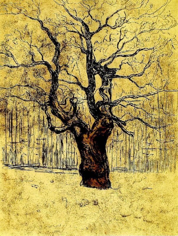 Artwork Title: Eiken (The Oak)