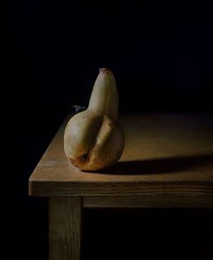Artwork Title: Pear And Fly