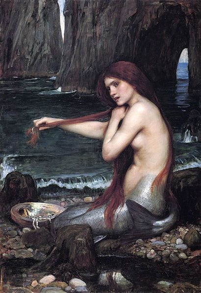 Artwork Title: A Mermaid