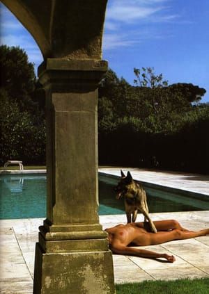 Artwork Title: Nude And Police Dog