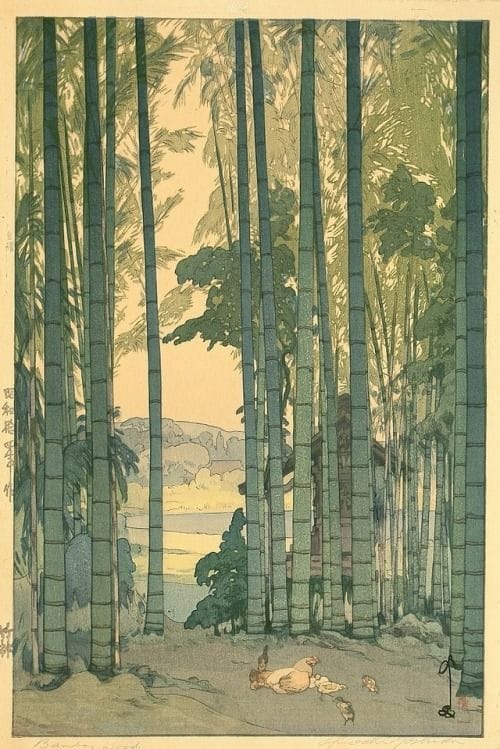 Artwork Title: Bamboo Grove