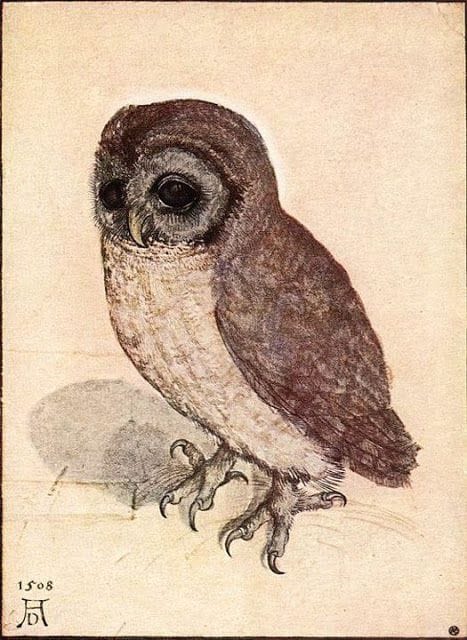 Artwork Title: Owl