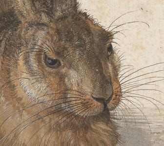 Artwork Title: The Young Hare