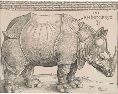 Artwork Title: Rhinoceros