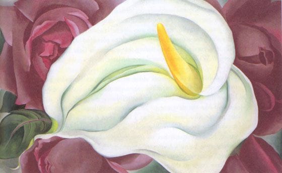 Artwork Title: Calla Lily with Roses