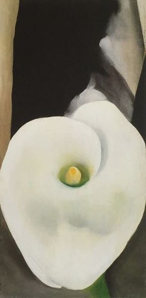 Artwork Title: Lily — White with Black