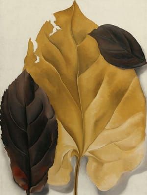 Artwork Title: Brown and Tan Leaves