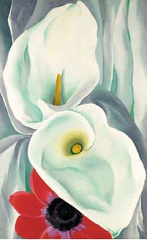Artwork Title: Calla lilies with Red Anemone