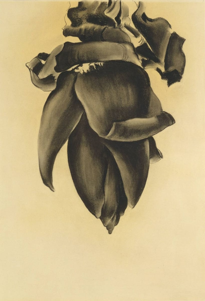 Artwork Title: Banana Flower, No. 2