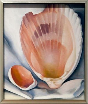 Artwork Title: Two Pink Shells