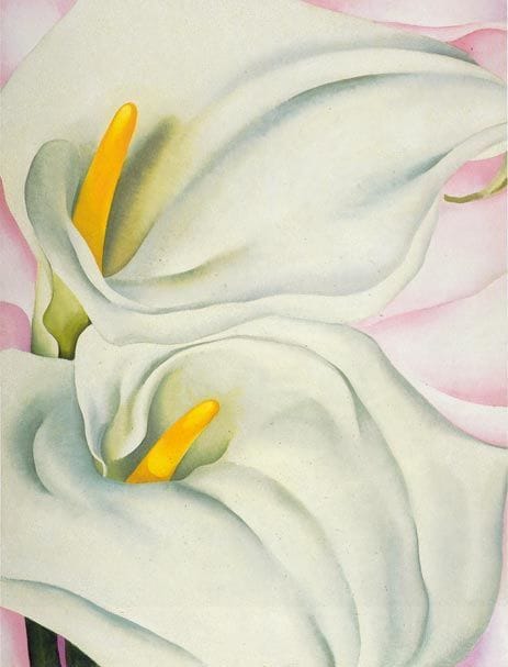Artwork Title: Two Calla Lillies on Pink