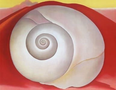 Artwork Title: White Shell with Red