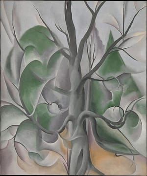 Artwork Title: Grey Tree, Lake George
