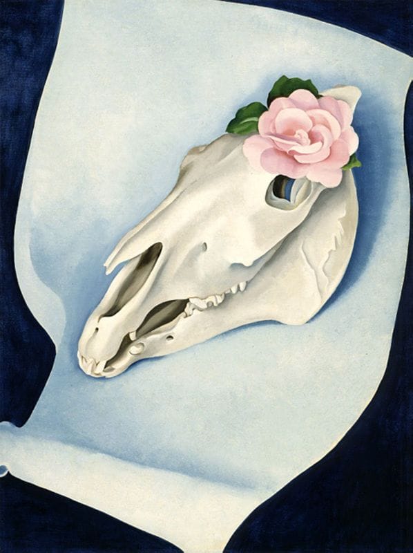 Artwork Title: Horses's Skull With Pink Rose