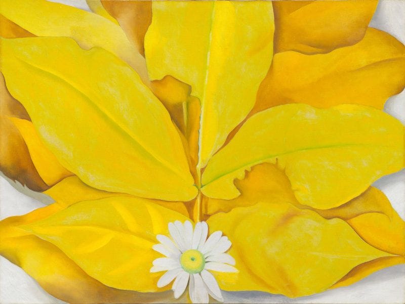 Artwork Title: Yellow Hickory Leaves With Daisy