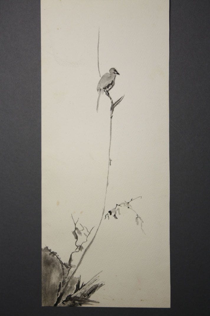 Artwork Title: Shrike On A Dead Branch