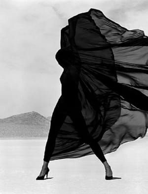 Artwork Title: Versace Veiled Dress, El Mirage
