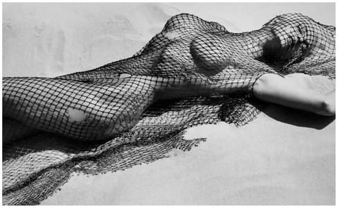 Artwork Title: Brigitte Nielsen with Netting, Malibu