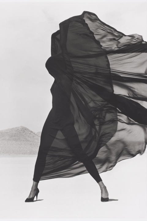 Artwork Title: Versace Veiled Dress, El Mirage