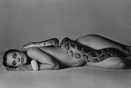 Artwork Title: Nastassja Kinski and the Serpent, Los Angeles, California