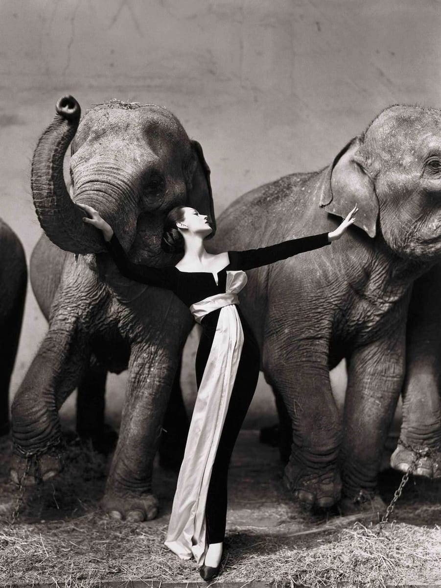 Artwork Title: Dovima With Elephants