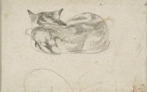 Artwork Title: Sleeping Cat