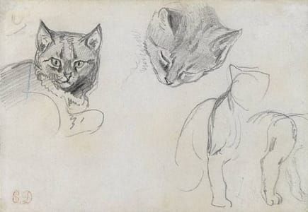 Artwork Title: Two Studies of a Cat's Head