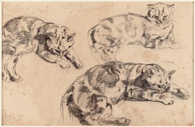 Artwork Title: Three Studies of Cats