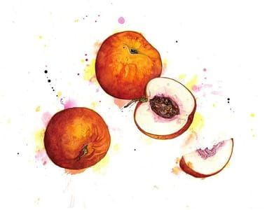 Artwork Title: White Peaches