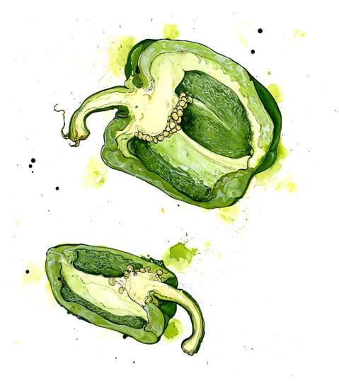 Artwork Title: Green Pepper