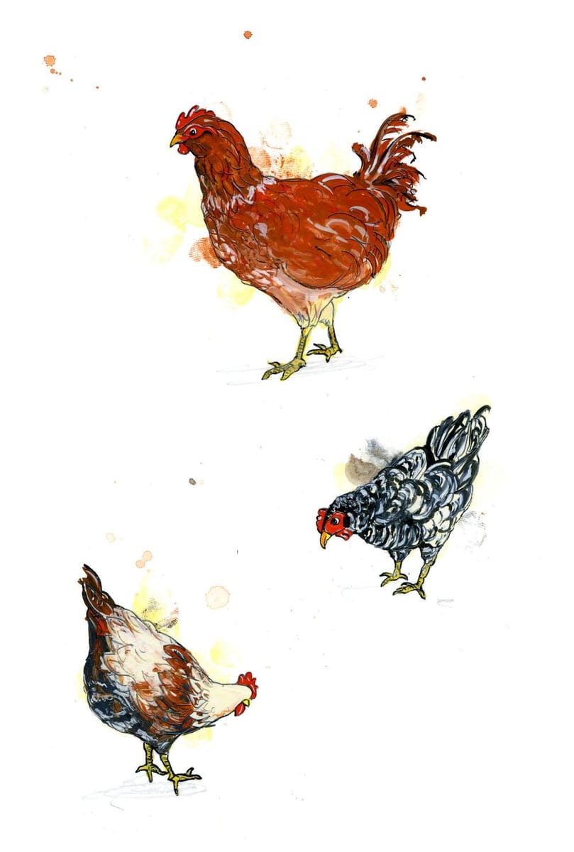 Artwork Title: Chickens