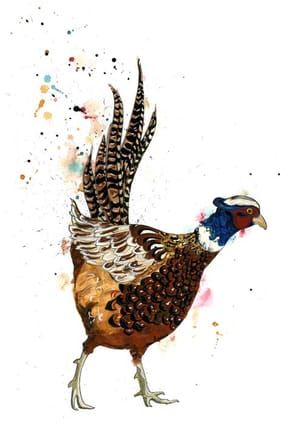 Artwork Title: Pheasant
