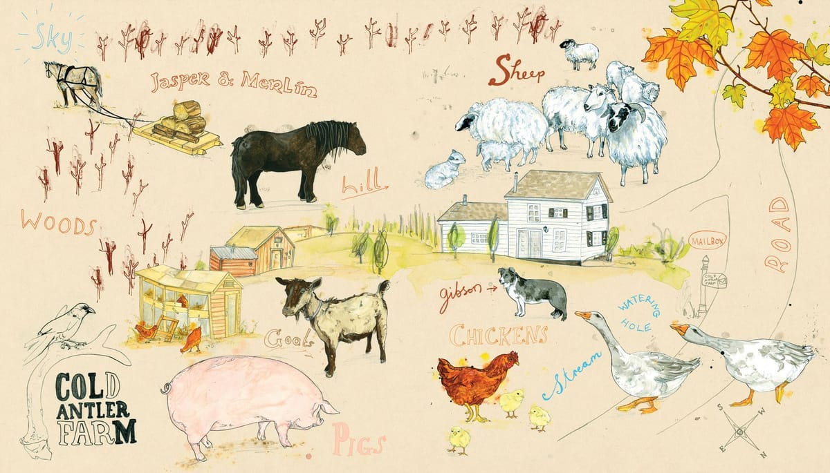 Artwork Title: One Woman Farm Endpapers