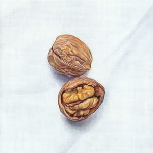 Artwork Title: Walnuts