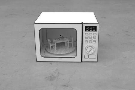 Artwork Title: The Microwave