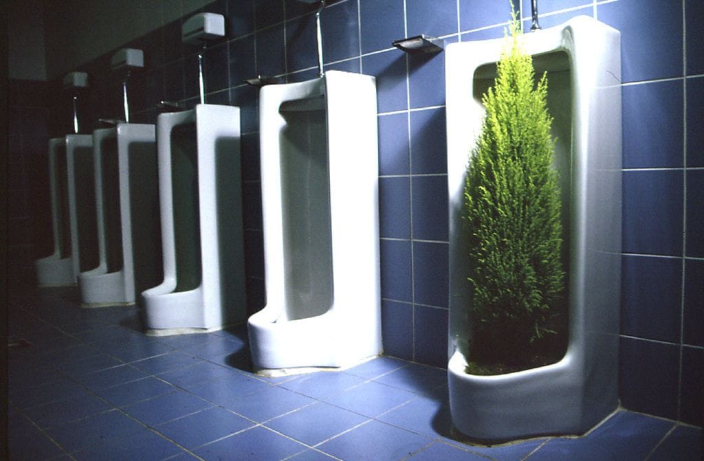 Artwork Title: undefined