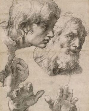 Artwork Title: Study of the heads and hands of two Apostles–1520