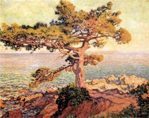 Artwork Title: Pine By The Mediterranean
