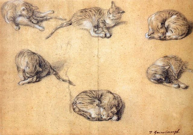 Artwork Title: Six Studies of a Cat