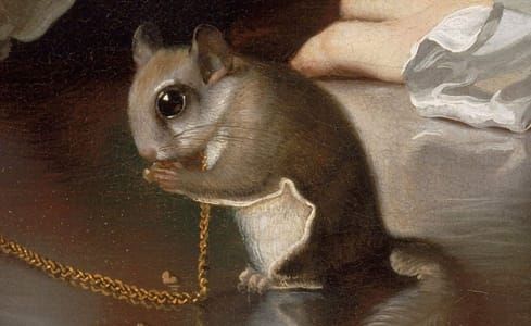 Artwork Title: A Boy with a Flying Squirrel (Henry Pelham)