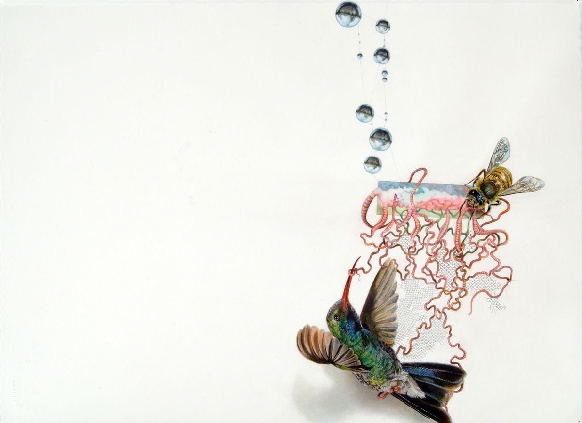 Artwork Title: Decoy #3