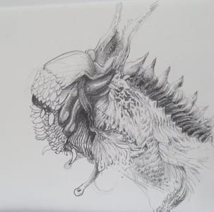 Artwork Title: Untitled