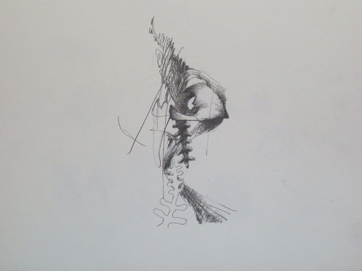 Artwork Title: undefined