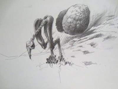 Artwork Title: Untitled